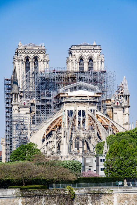 climate violin acute Propunerile Bisericii Catolice pentru reconstructia Catedralei Notre Dame  sunt comparate cu Disneyland. Printre cele mai neobisnuite propuneri s-au  numarat o pisicina pe acoperis, o padure si o raza de 100 de metri