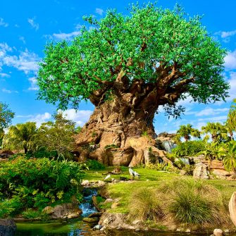 Disney vinde bucati de lemne din copacii din Disneyland drept suveniruri. Pretul unuia este de 6.500 de euro .