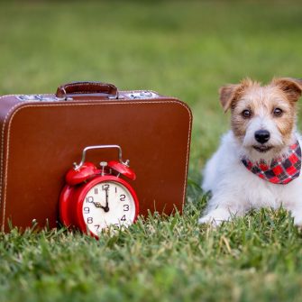 Trenduri de calatorie in 2026: sens, sustenabilitate si tehnologie